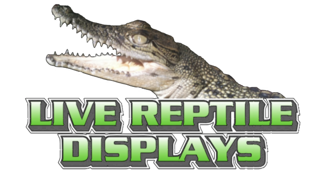 Live Reptile Displays logo